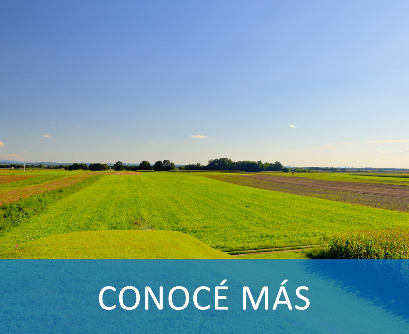 Odoo - Prueba 2 a tres columnas