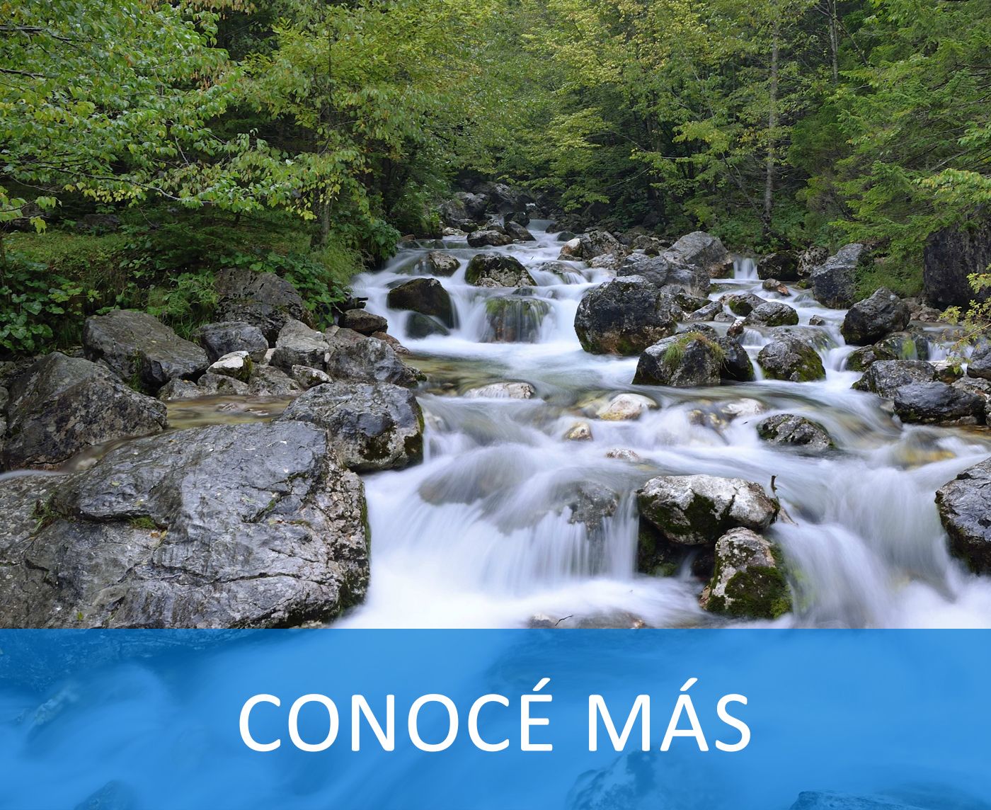 Odoo - Prueba 2 a tres columnas