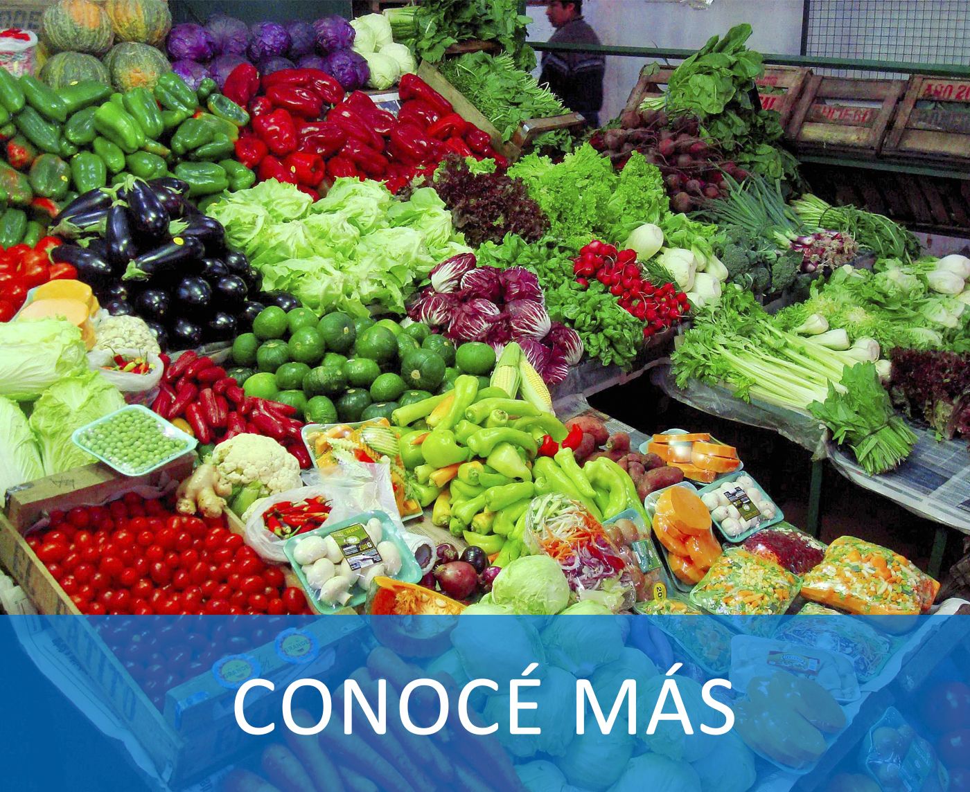 Odoo - Prueba 2 a tres columnas